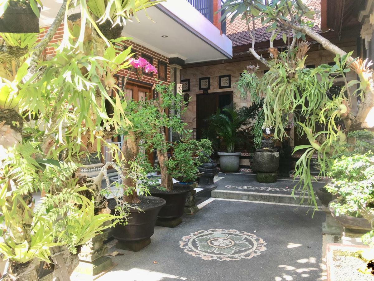 米库克家庭旅馆 坎古 外观 照片